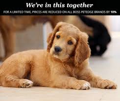 Which headline style is best? Caps, or no&nbsp;caps?