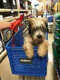 More PR Tools: Get rid of ad jargon in headlines and press releases – it’s never&nbsp;used