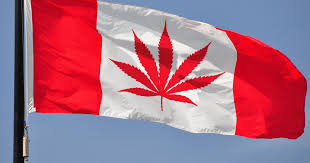 Will legal cannabis change society in Canada, starting Oct. 17, 2018 – four ways it&nbsp;might
