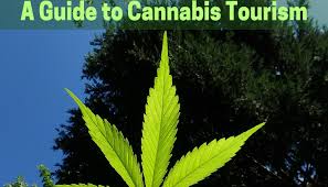 PR Tools: so many extra words in cannabis story — how to eliminate&nbsp;them